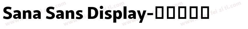 Sana Sans Display字体转换